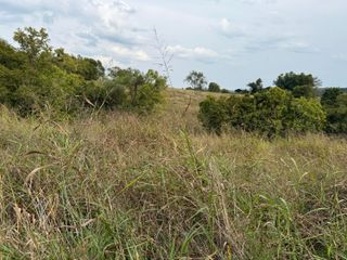 4252 KY-36, Owingsville, KY 40360