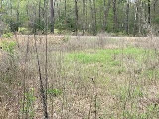 17135 Sprawling Oaks, Conroe, TX 77385