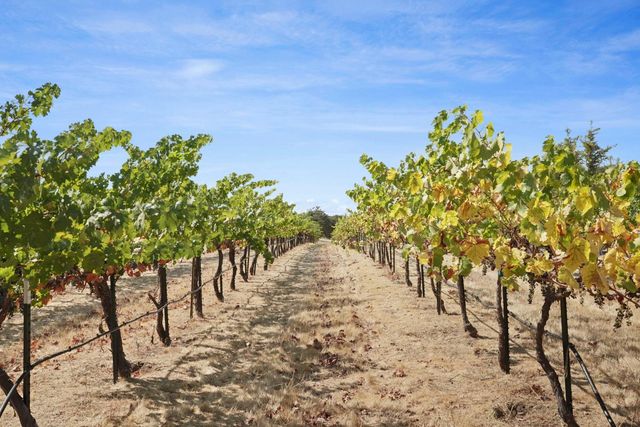 8779 Ospital Rd, Valley Springs, CA 95252