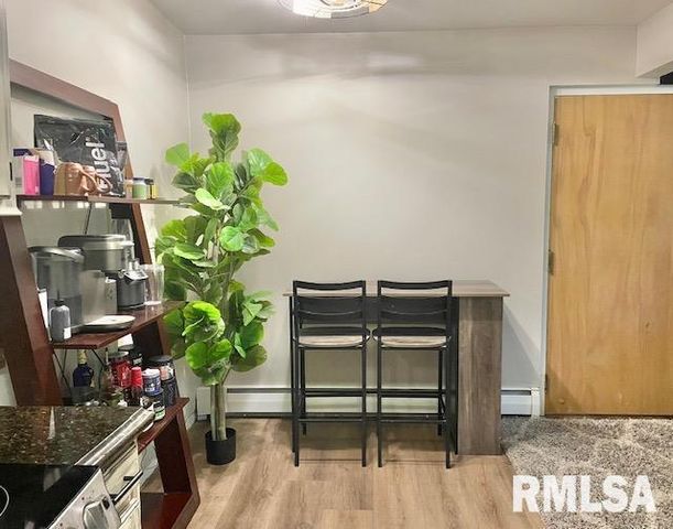 940 17TH Street 4, Moline, IL 61265