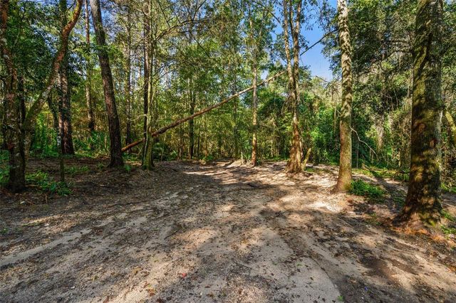3426 SE 185TH AVENUE, Micanopy, FL 32667