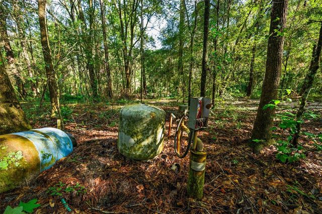 3426 SE 185TH AVENUE, Micanopy, FL 32667