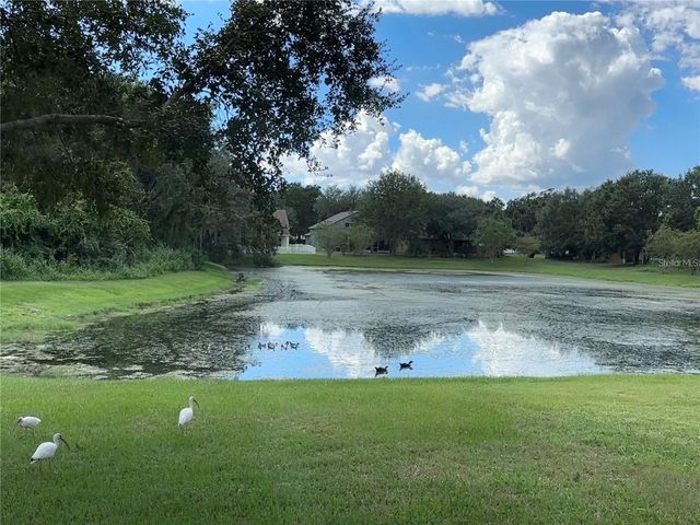 13016 TERRACE BROOK PLACE, Temple Terrace, FL 33637