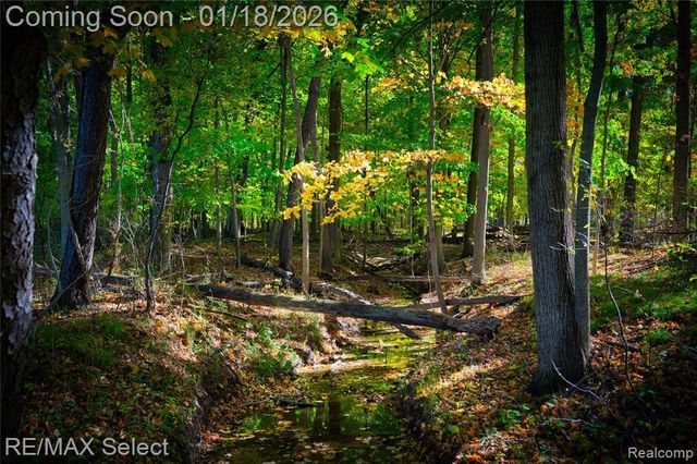 9305 Vassar Road, Grand Blanc, MI 48439