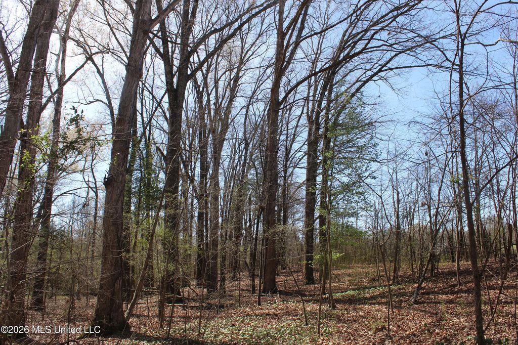 9 Barton Desoto Road, Olive Branch, MS 38654 — photo 3