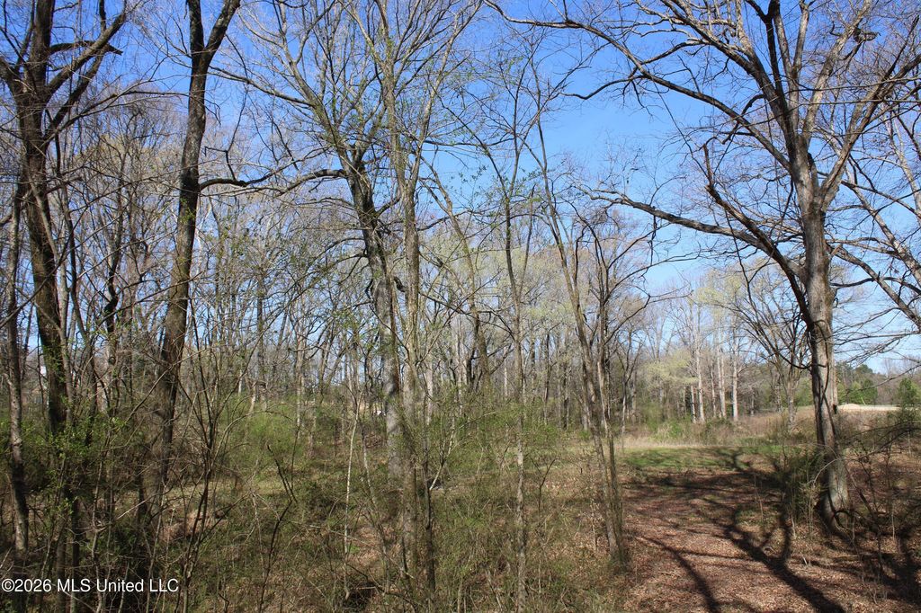 9 Barton Desoto Road, Olive Branch, MS 38654 — photo 5