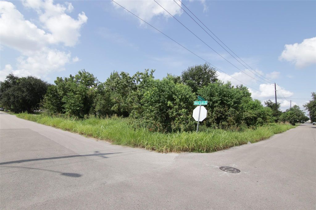 1202 Vera Lou Street, Houston, TX 77051