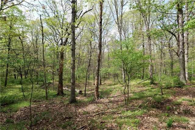 Lot 23B Hummingbird Road, Gravette, AR 72736