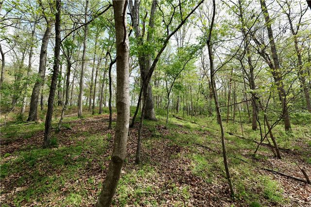 Lot 23B Hummingbird Road, Gravette, AR 72736