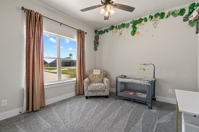 1030 Alex Drive, Springtown, TX 76082