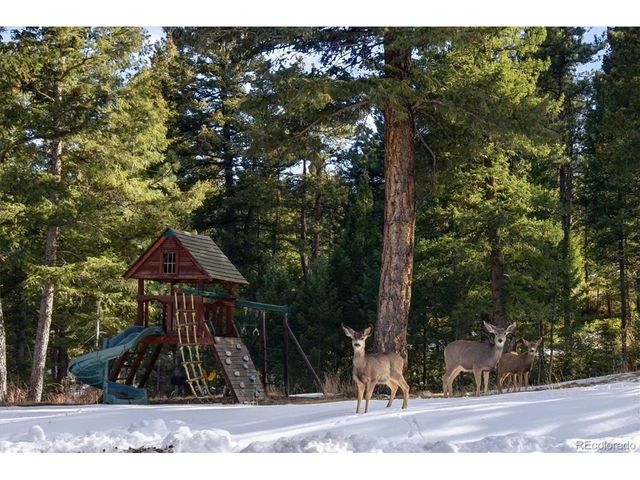 7837 S Settlers Dr, Morrison, CO 80465