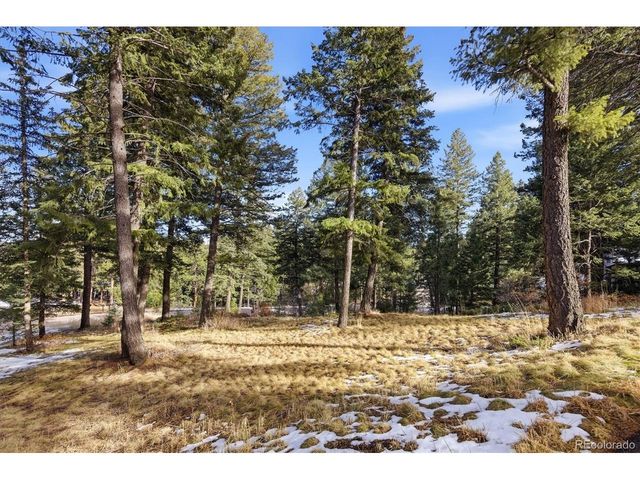 7837 S Settlers Dr, Morrison, CO 80465