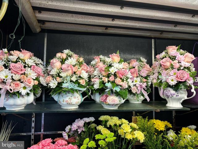 541 W MAIN ST W, Millville, NJ 08332