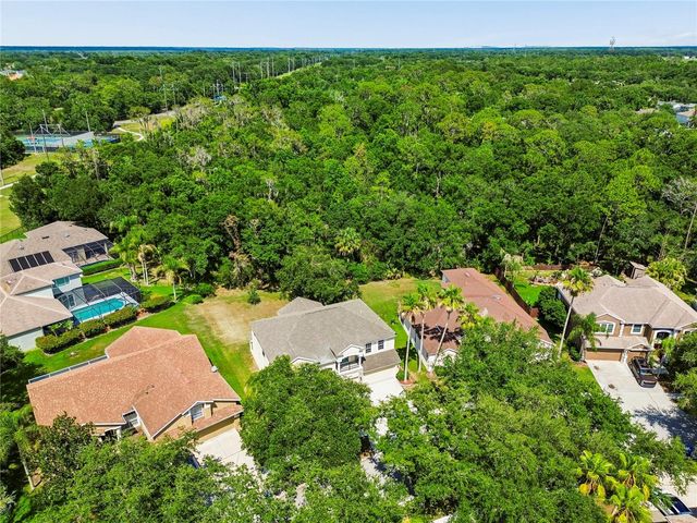 16936 FALCONRIDGE ROAD, Lithia, FL 33547