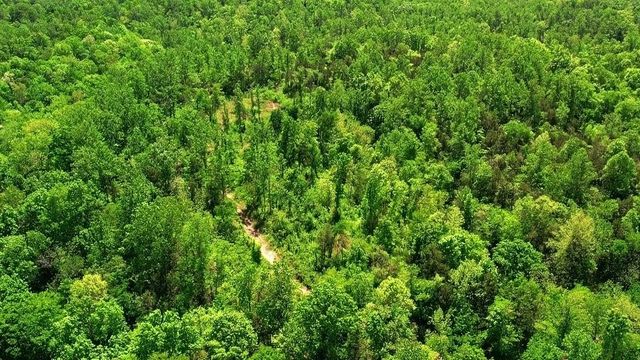 5849 N Lick Creek Rd, Franklin, TN 37064