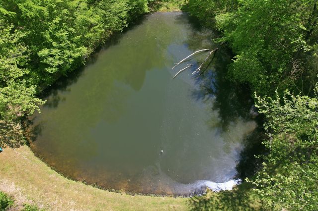 5849 N Lick Creek Rd, Franklin, TN 37064