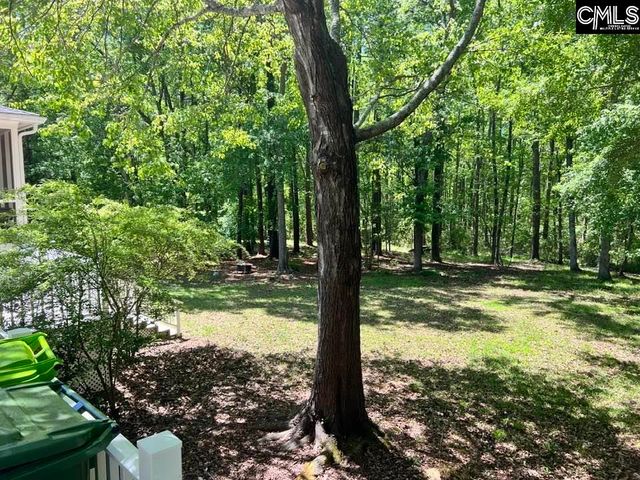 4 Tavern Court, Blythewood, SC 29016