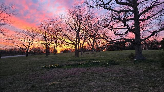 898 Short State Hwy Y, Marshfield, MO 65706
