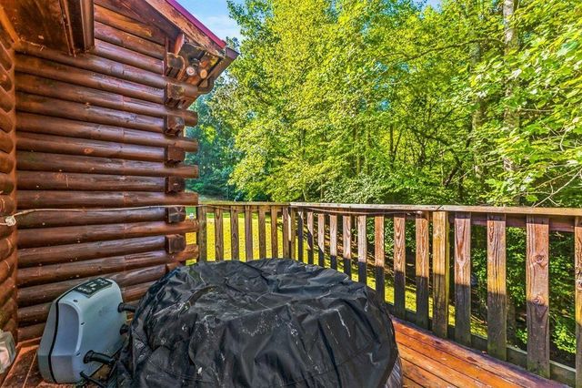 711 ARP Road, Mineral Bluff, GA 30559