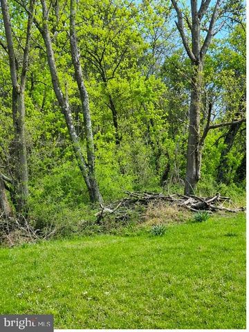 9422 LITTLE SKYLINE DR, Orange, VA 22960