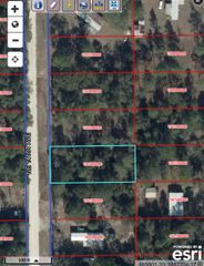 TBD NE 141 AVENUE, Williston, FL 32696