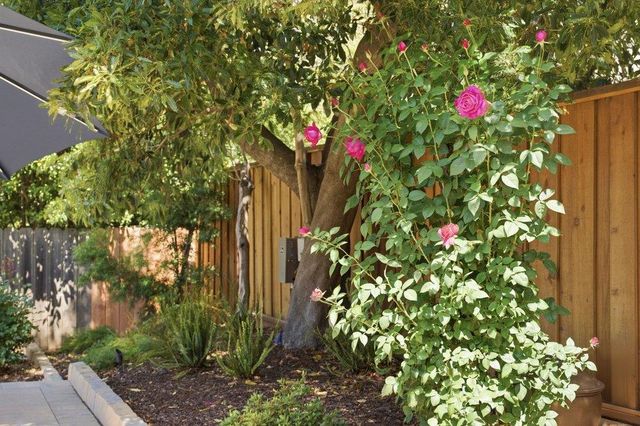 875 Buckland Avenue, San Carlos, CA 94070