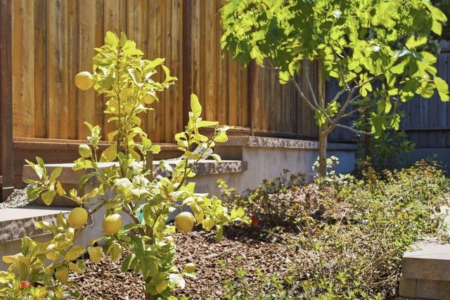 875 Buckland Avenue, San Carlos, CA 94070
