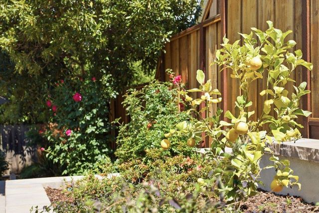 875 Buckland Avenue, San Carlos, CA 94070