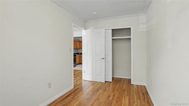 1117 Decatur Street, Brooklyn, NY 11207