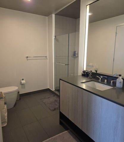 1210 S Indiana Avenue 2611, Chicago, IL 60605