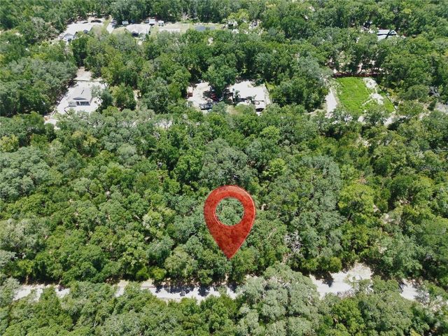 TBD FISHER LANE DRIVE, Ocklawaha, FL 32179