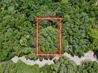 TBD FISHER LANE DRIVE, Ocklawaha, FL 32179