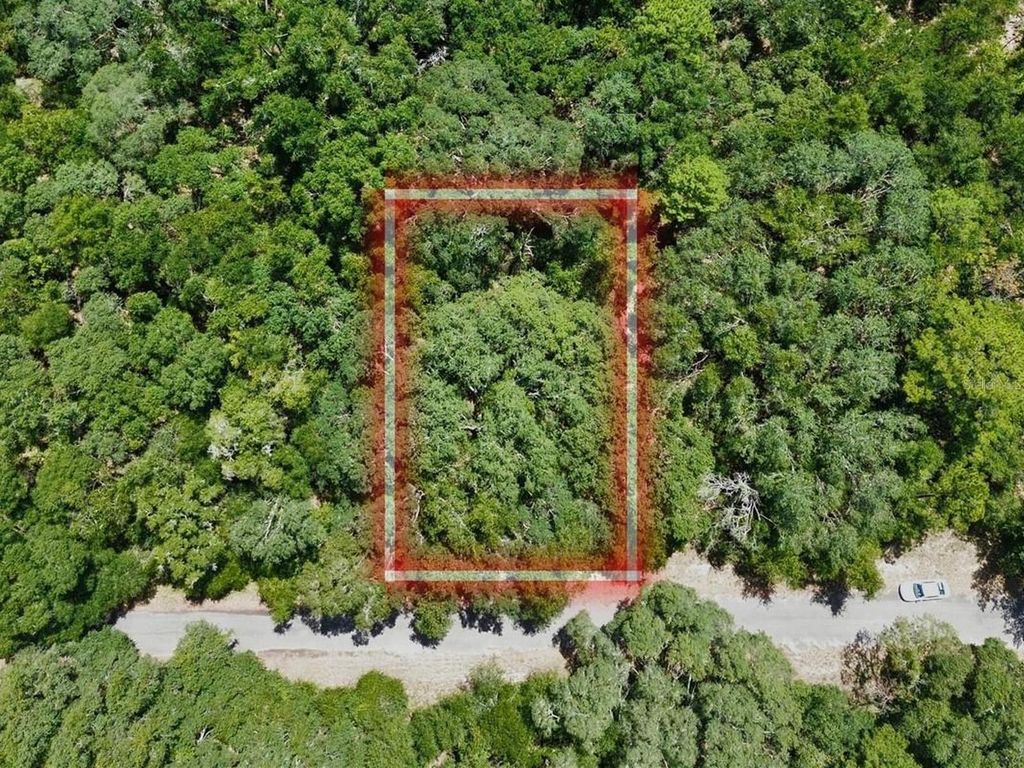 TBD FISHER LANE DRIVE, Ocklawaha, FL 32179
