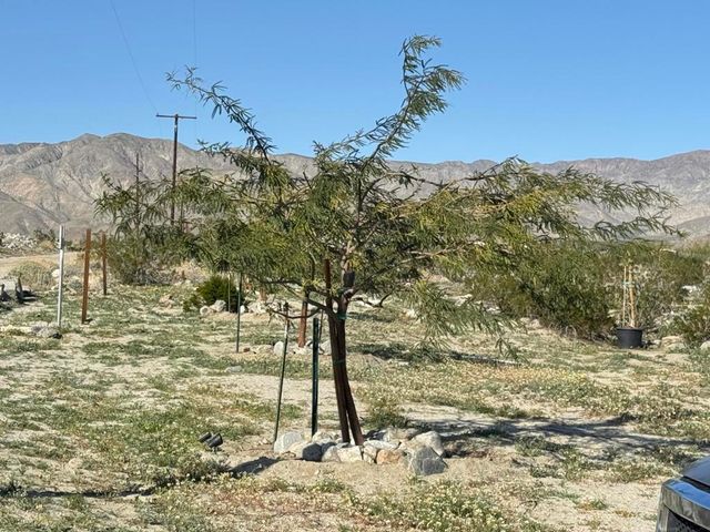 23750 Larsen Lane, Desert Hot Springs, CA 92241