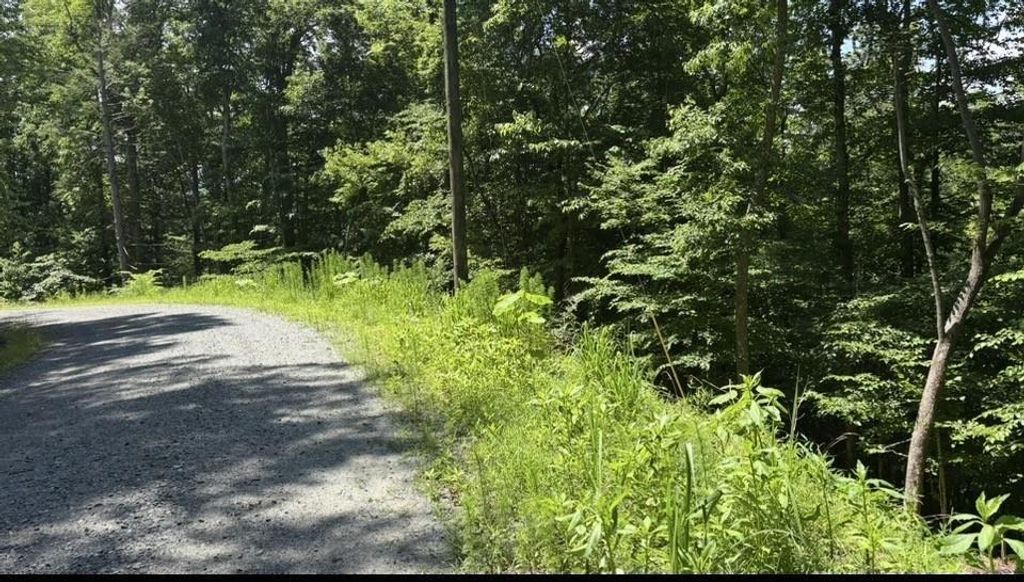 Lt 780 Omen Circle, Ellijay, GA 30540