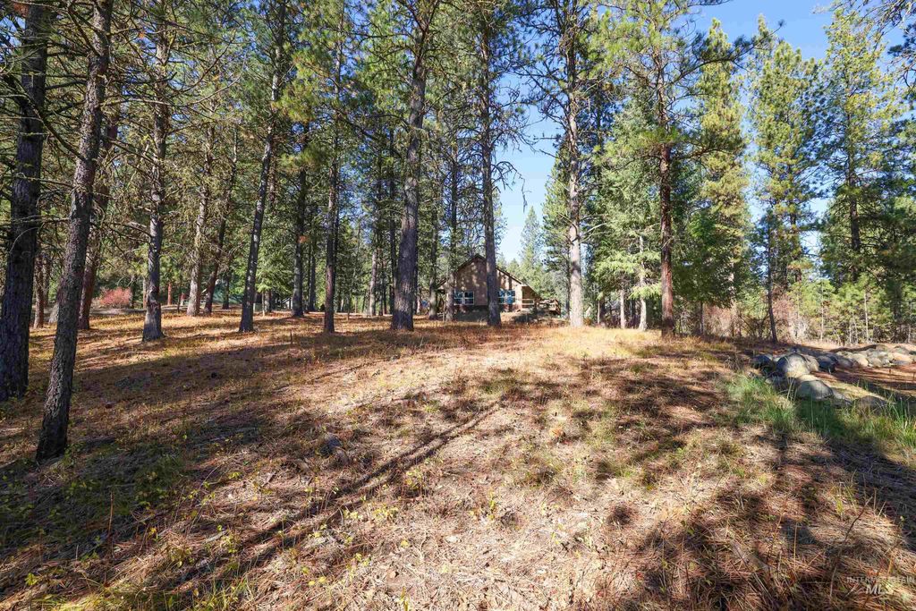 TBD Columbine Drive, New Meadows, ID 83654 photo 13