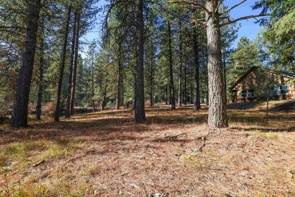 TBD Columbine Drive, New Meadows, ID 83654 photo 15