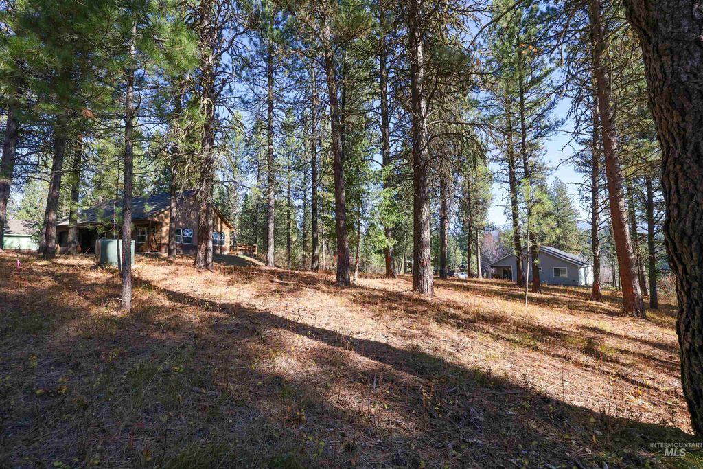 TBD Columbine Drive, New Meadows, ID 83654 photo 7