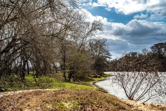 121 Mechelle ST, Smithville, TX 78957