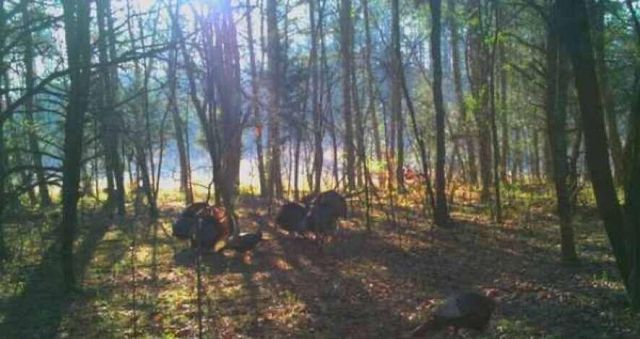 135 Watkins Branch Road, East Bernstadt, KY 40729