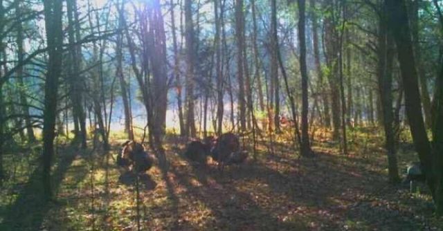 135 Watkins Branch Road, East Bernstadt, KY 40729