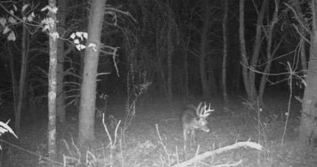 135 Watkins Branch Road, East Bernstadt, KY 40729