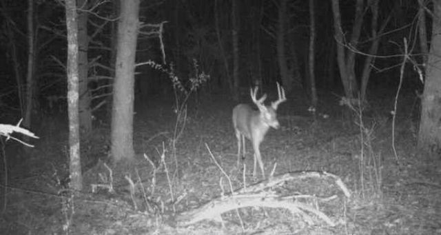 135 Watkins Branch Road, East Bernstadt, KY 40729