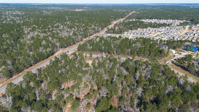 7629 Trinity Pines Drive, Montgomery, TX 77316