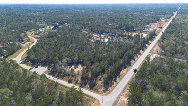 7629 Trinity Pines Drive, Montgomery, TX 77316