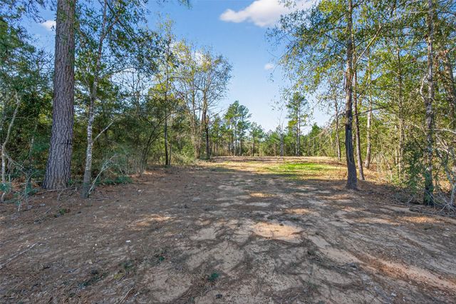 7629 Trinity Pines Drive, Montgomery, TX 77316