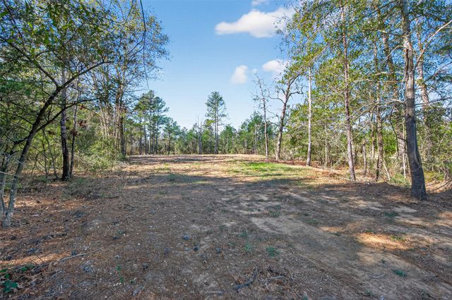 7629 Trinity Pines Drive, Montgomery, TX 77316