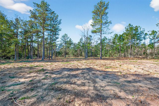 7629 Trinity Pines Drive, Montgomery, TX 77316