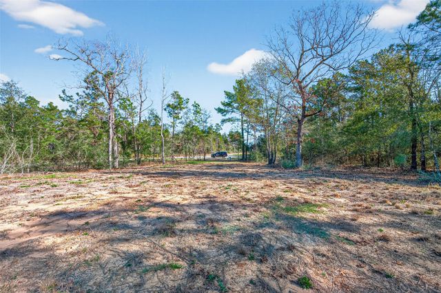 7629 Trinity Pines Drive, Montgomery, TX 77316