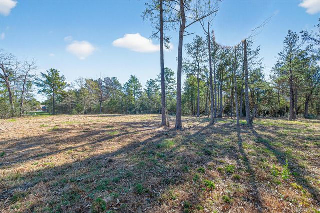 7629 Trinity Pines Drive, Montgomery, TX 77316